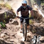 SATURDAY SHUTTLES TOMS CROSSING FROM 8.00AM